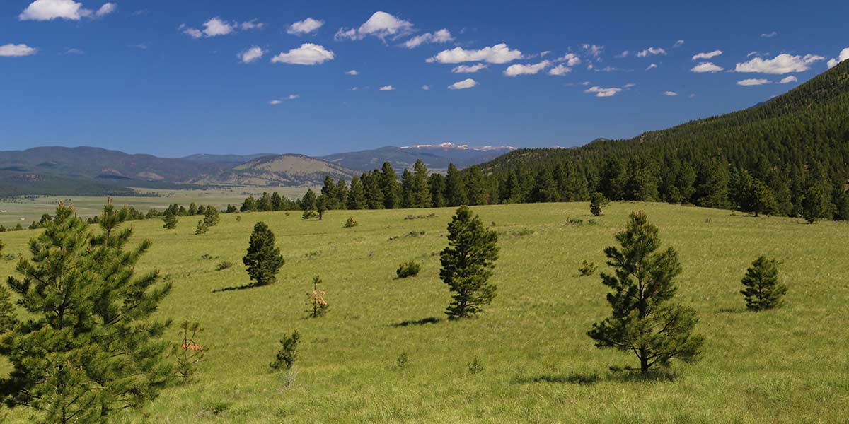 Moreno Valley Ranch - Mirr Ranch Group