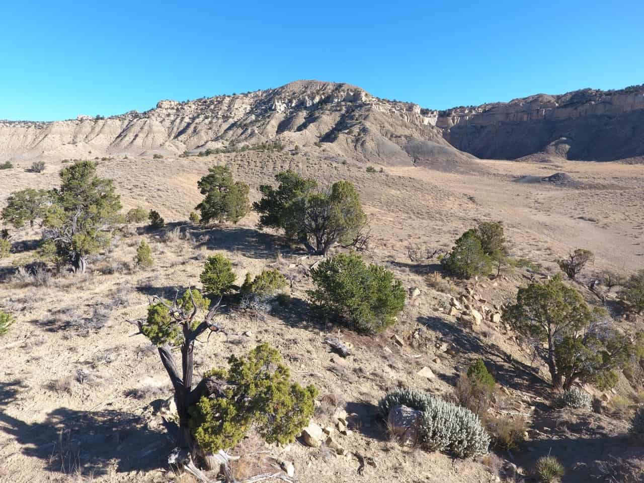 Twisted Gulch Ranch - Mirr Ranch Group
