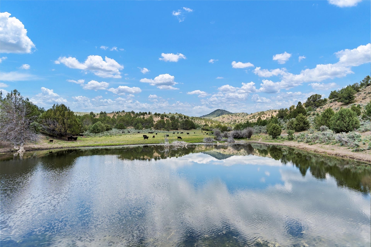 Four S Land & Cattle - Mirr Ranch Group