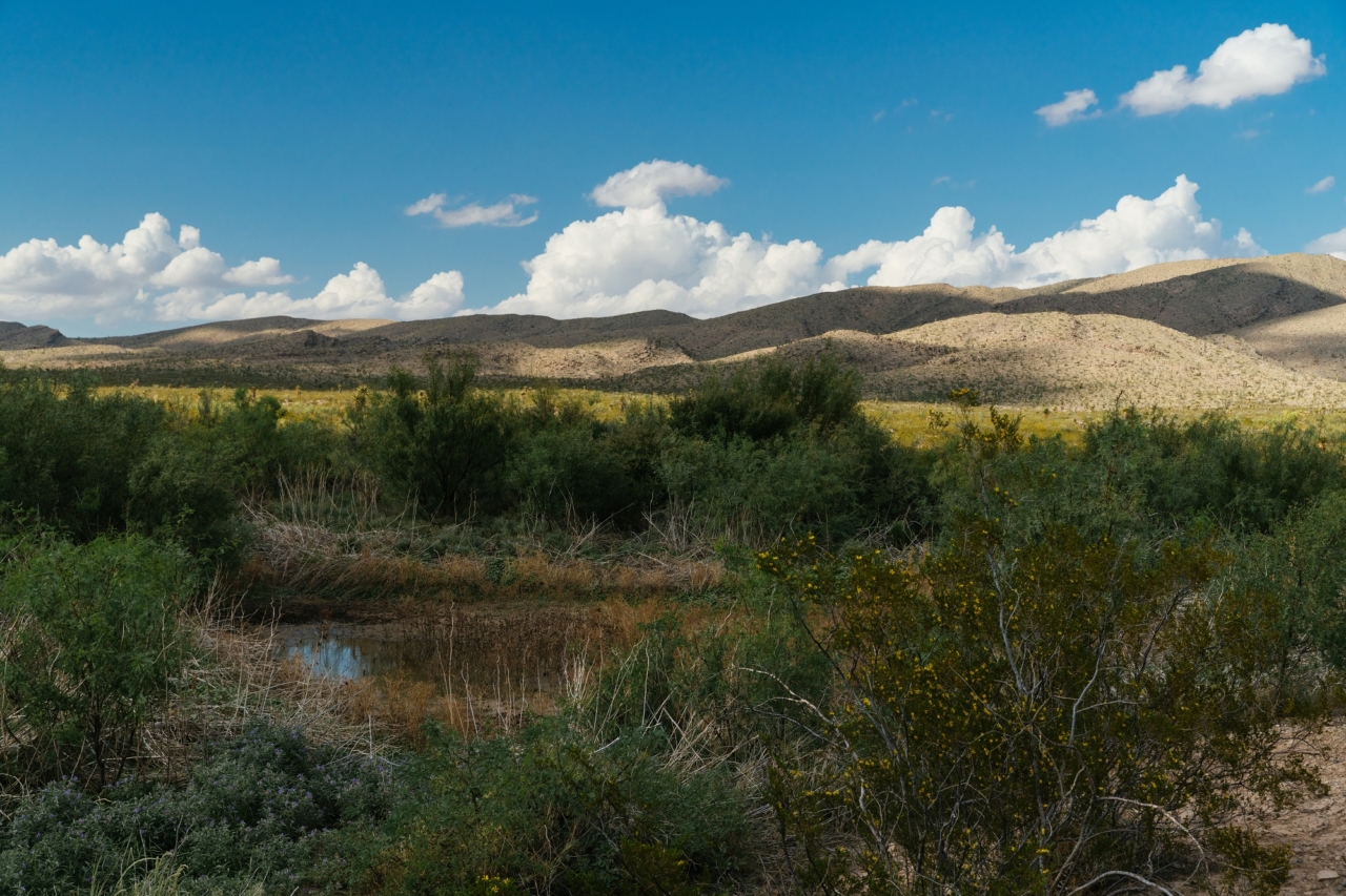 McMillan Ranch - Mirr Ranch Group