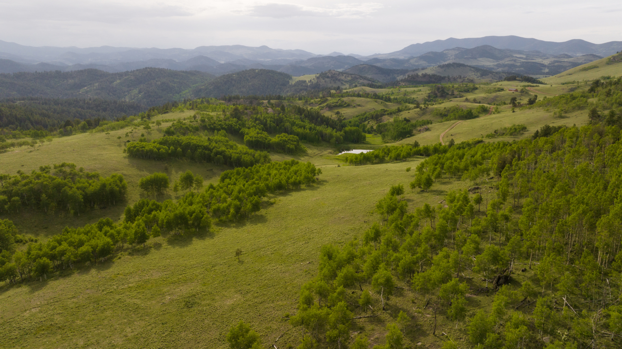 Big Bear Ranch | Mountain Ranches For Sale | Mirr Ranch Group