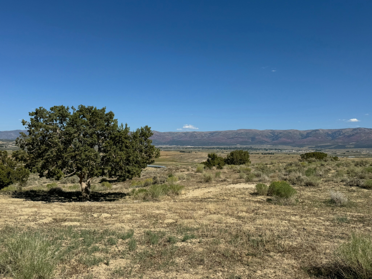 Flying T Ranch | Utah Ranches For Sale | Mirr Ranch Group