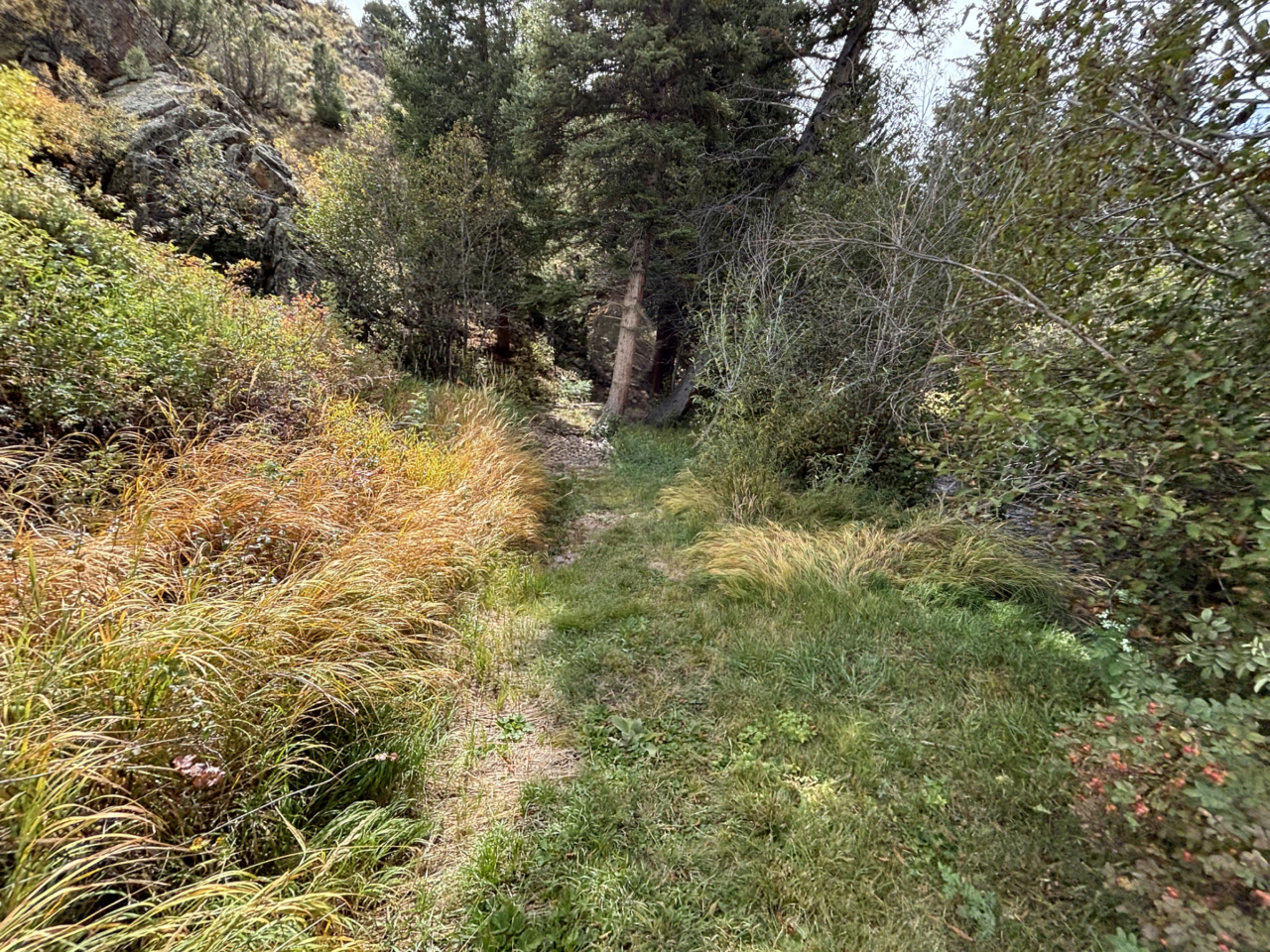Rimrock Canyon Ranch - Mirr Ranch Group