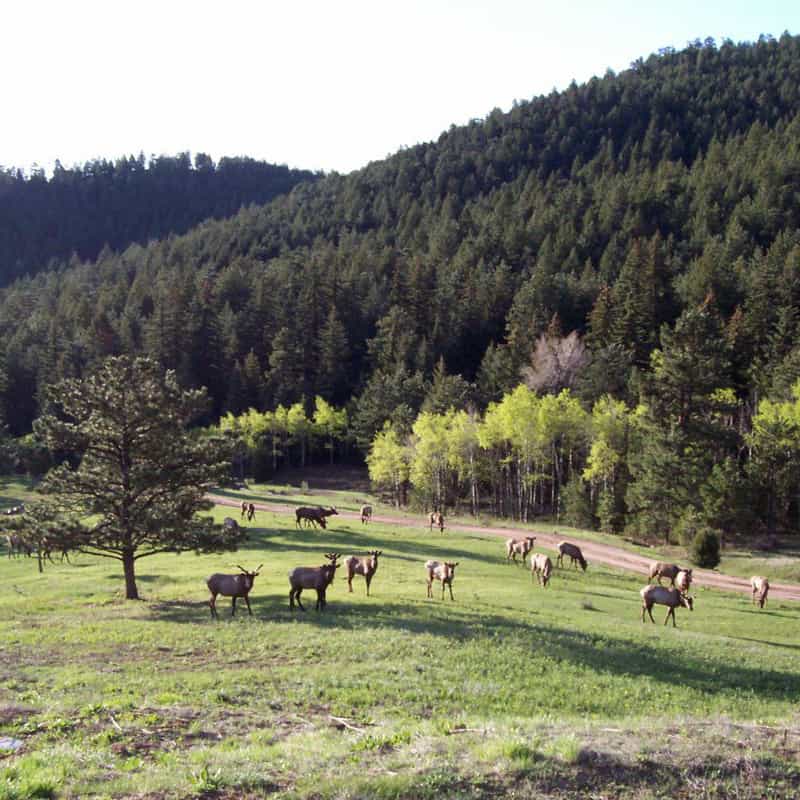 Shadow-Wild-Ranch-Colorado-ranches-for-sale-4-cropped