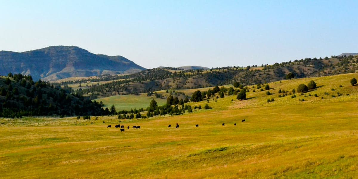 Six Shooter Ranch - Mirr Ranch Group