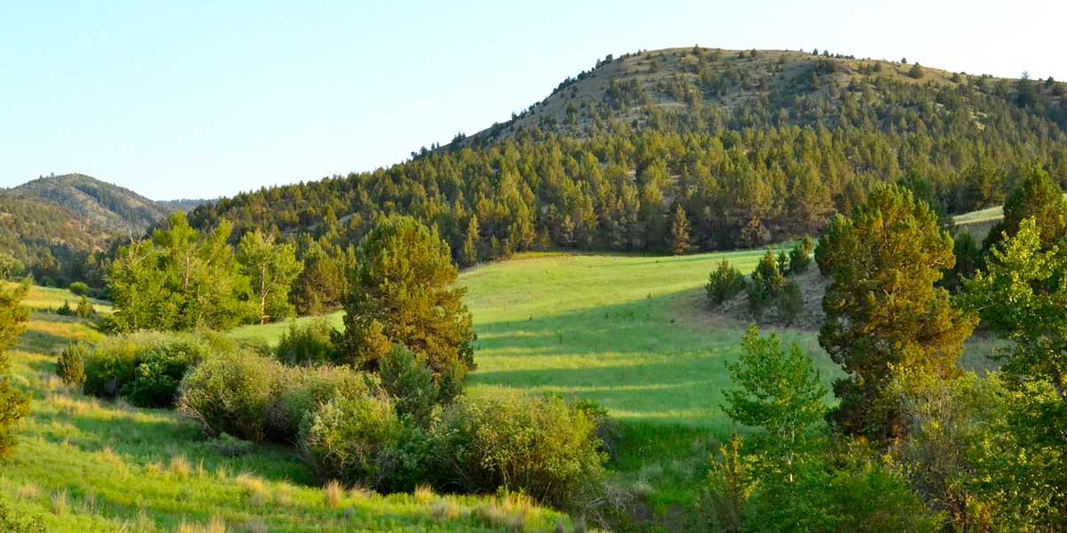 Six Shooter Ranch - Mirr Ranch Group