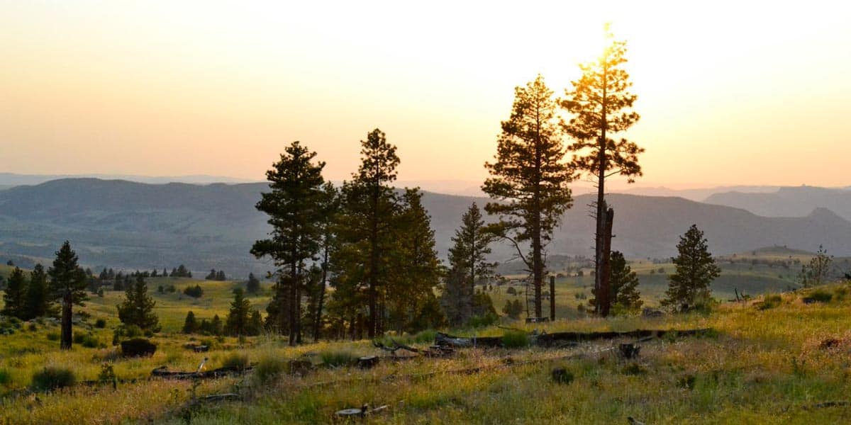 Six Shooter Ranch - Mirr Ranch Group