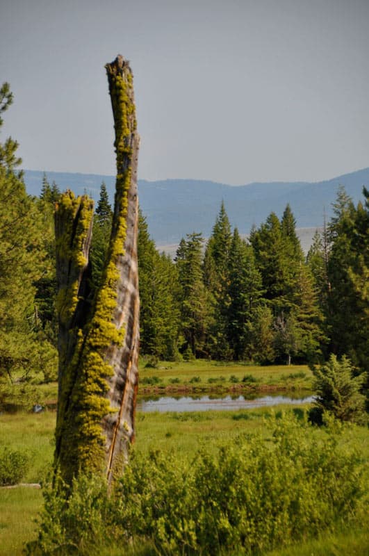 Six Shooter Ranch - Mirr Ranch Group