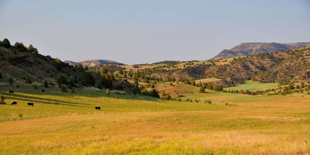 Six Shooter Ranch - Mirr Ranch Group