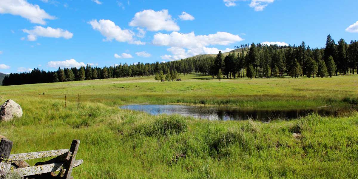 Six Shooter Ranch - Mirr Ranch Group