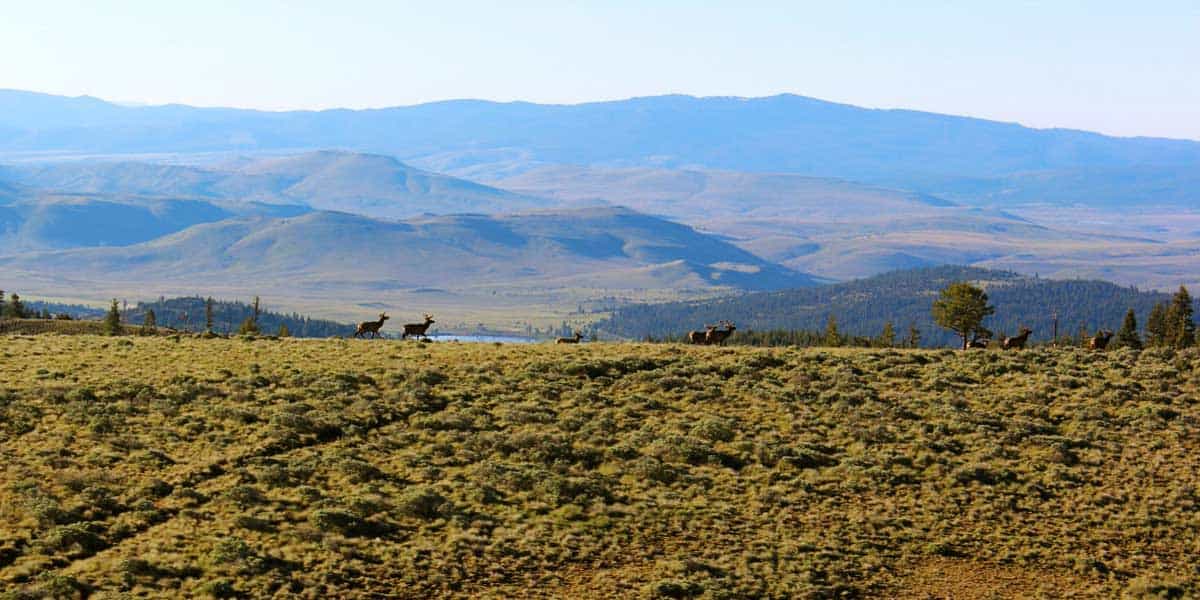 Six Shooter Ranch - Mirr Ranch Group