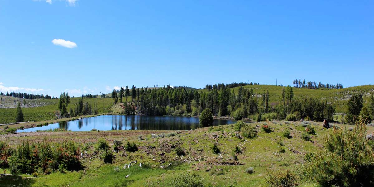 Six Shooter Ranch - Mirr Ranch Group