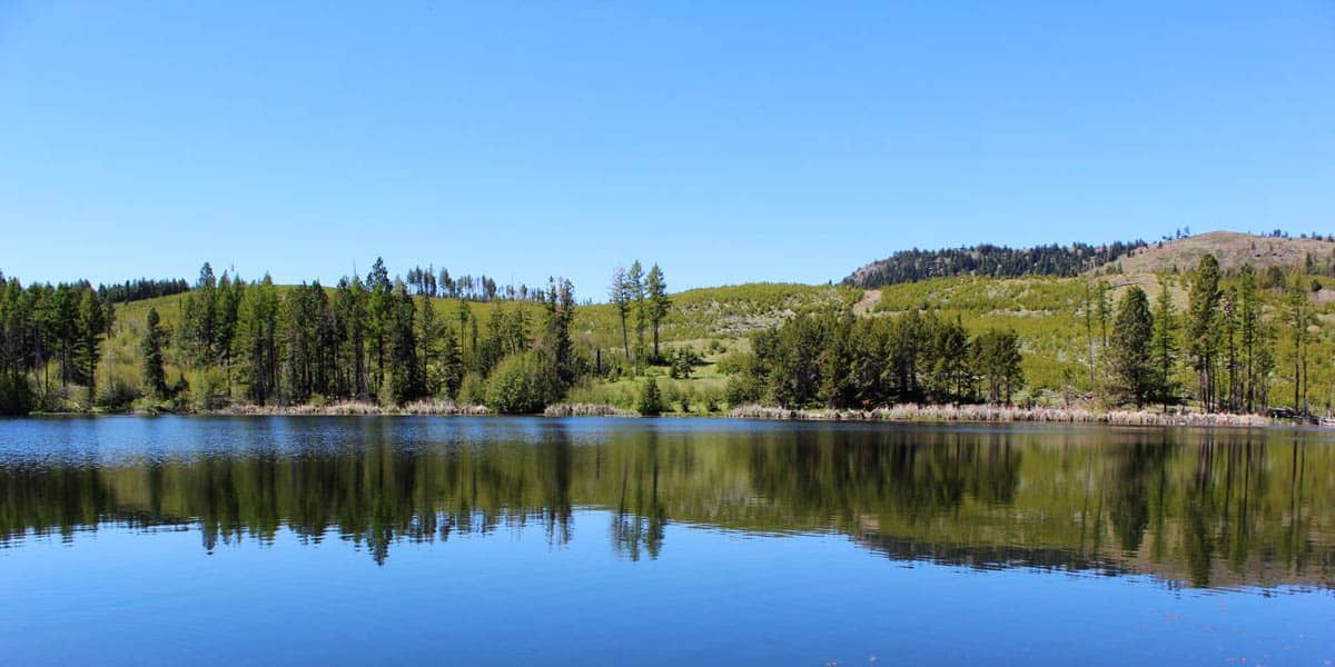 Six Shooter Ranch - Mirr Ranch Group