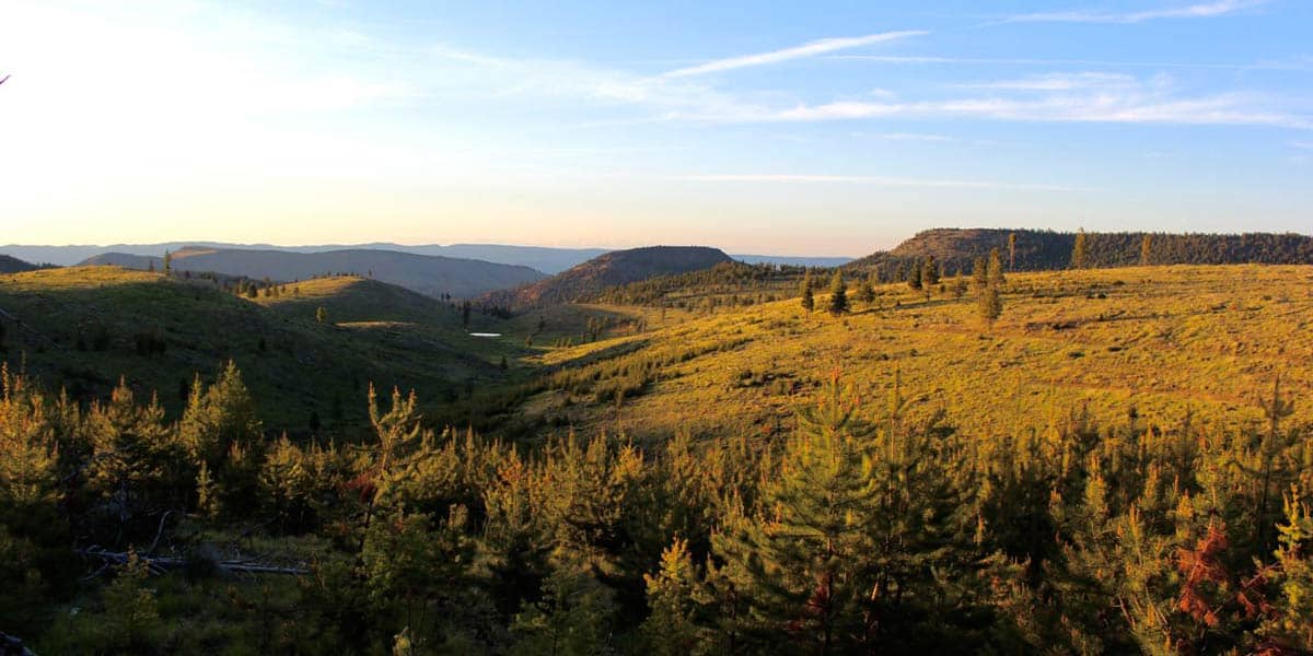 Six Shooter Ranch - Mirr Ranch Group