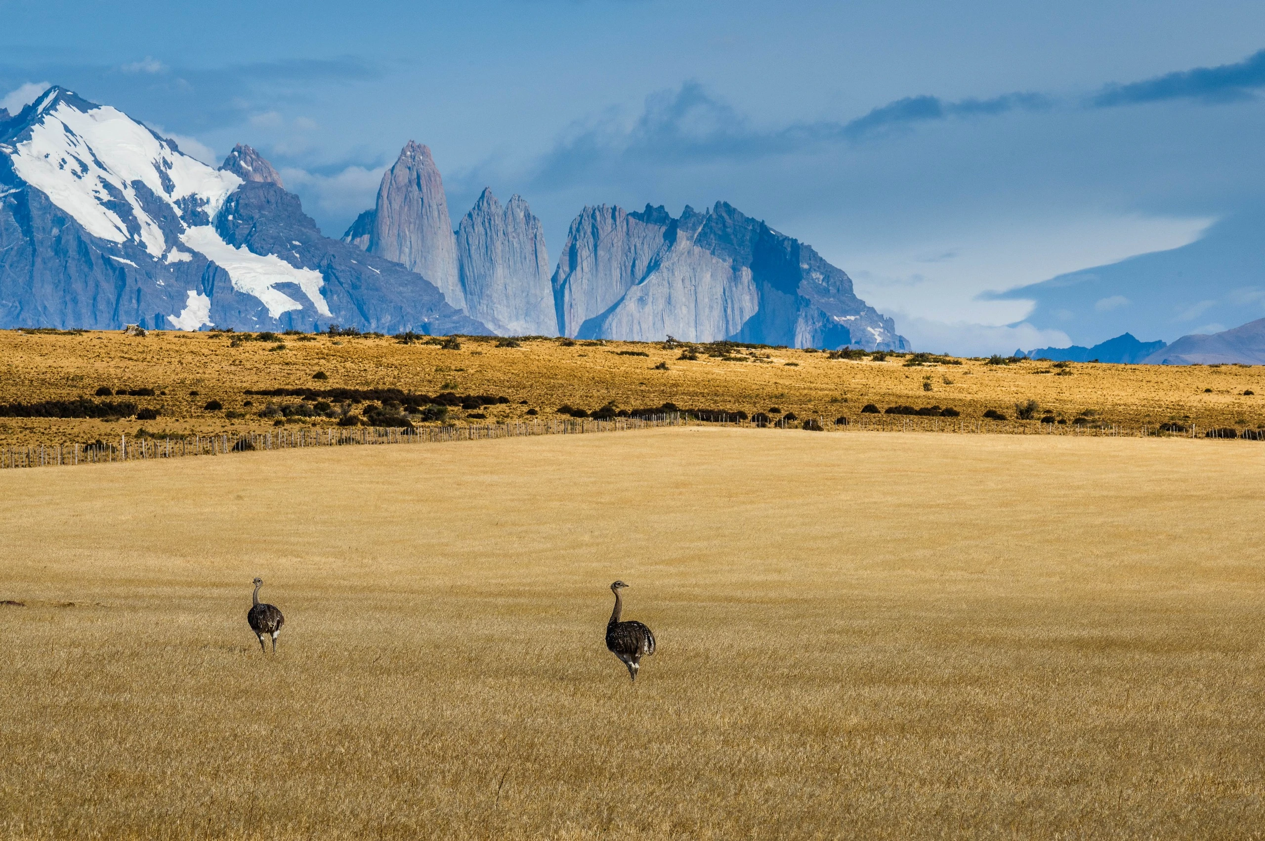 Patagonia landscape