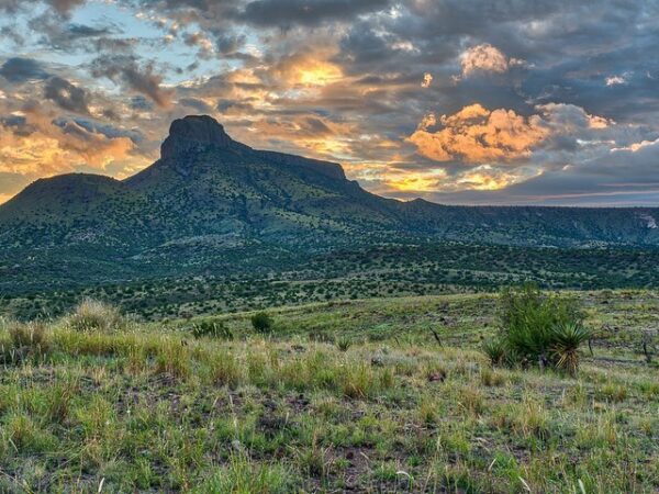 New Episode: Land, Water, and Wildlife: The Forces Shaping Texas Ranch Real Estate