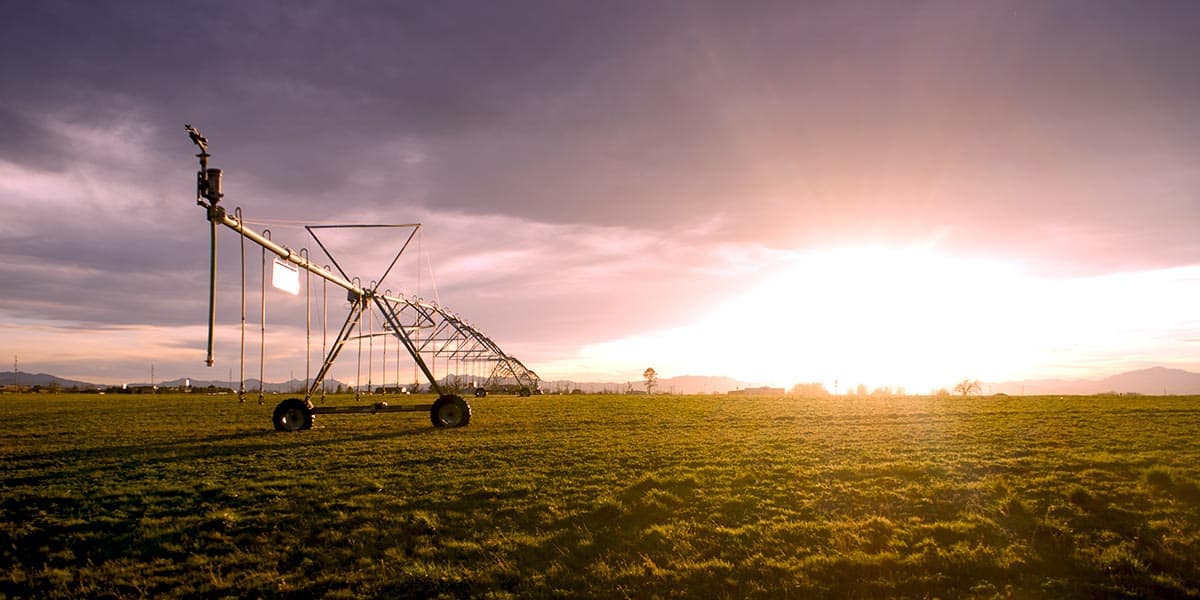 16th Street Farm | Valuable Production Value