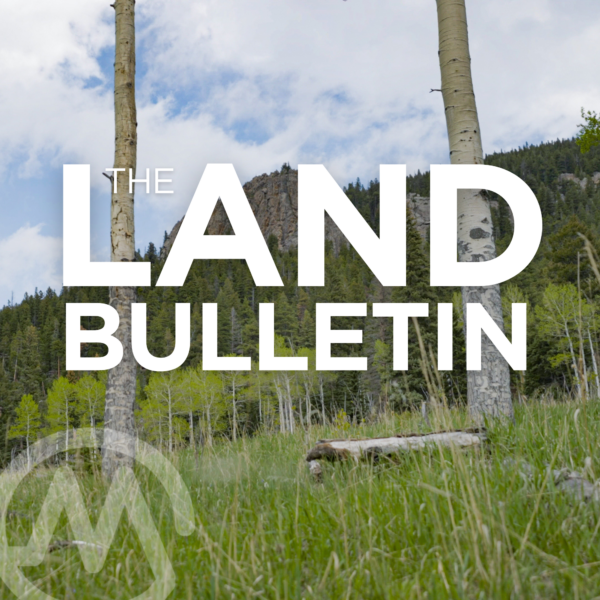 The Back 40: Exploring Evergreen, Colorado