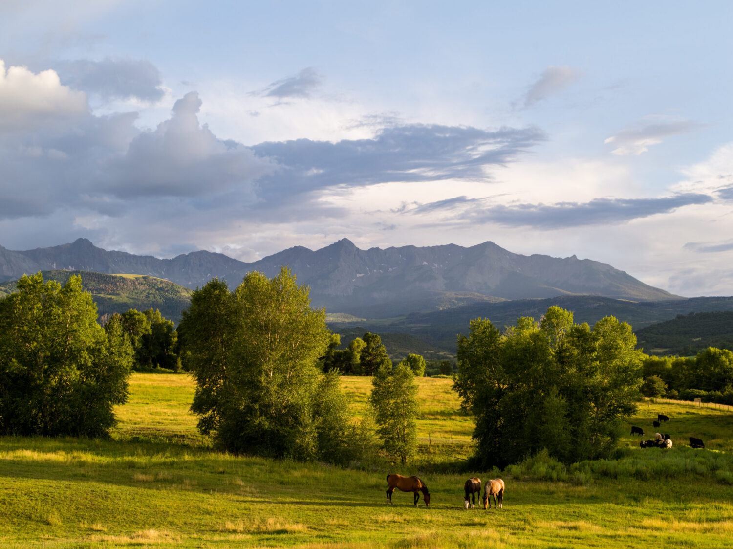 Colorado mountain ranch landscape by Mirr Ranch Group