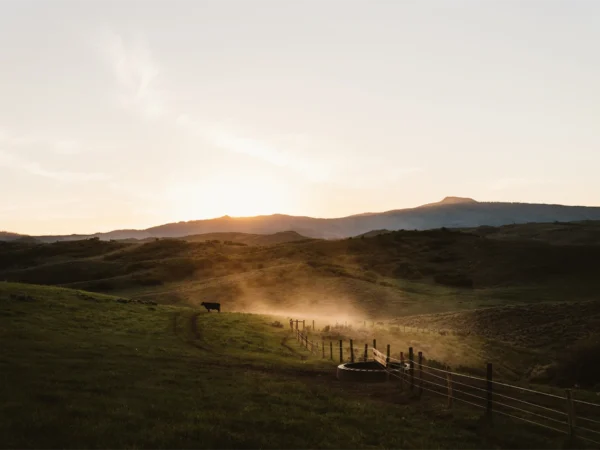 What is a Ranch?