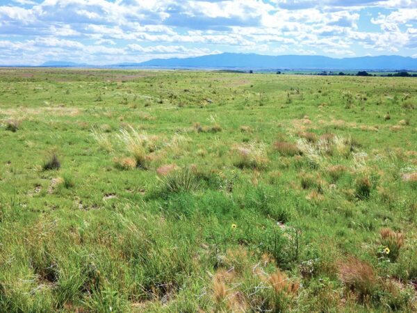 The Profit Model of Land Conservation