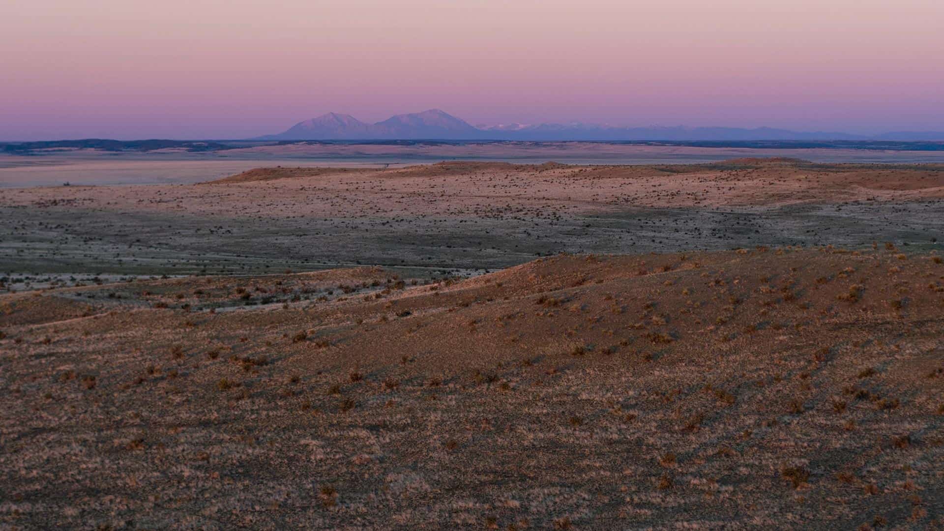 Improvements on the BX Ranch allow for a much more productive and healthy grazing regimen which has lead to the robust return of native grasses and a diversity and density of herbaceous cover.
