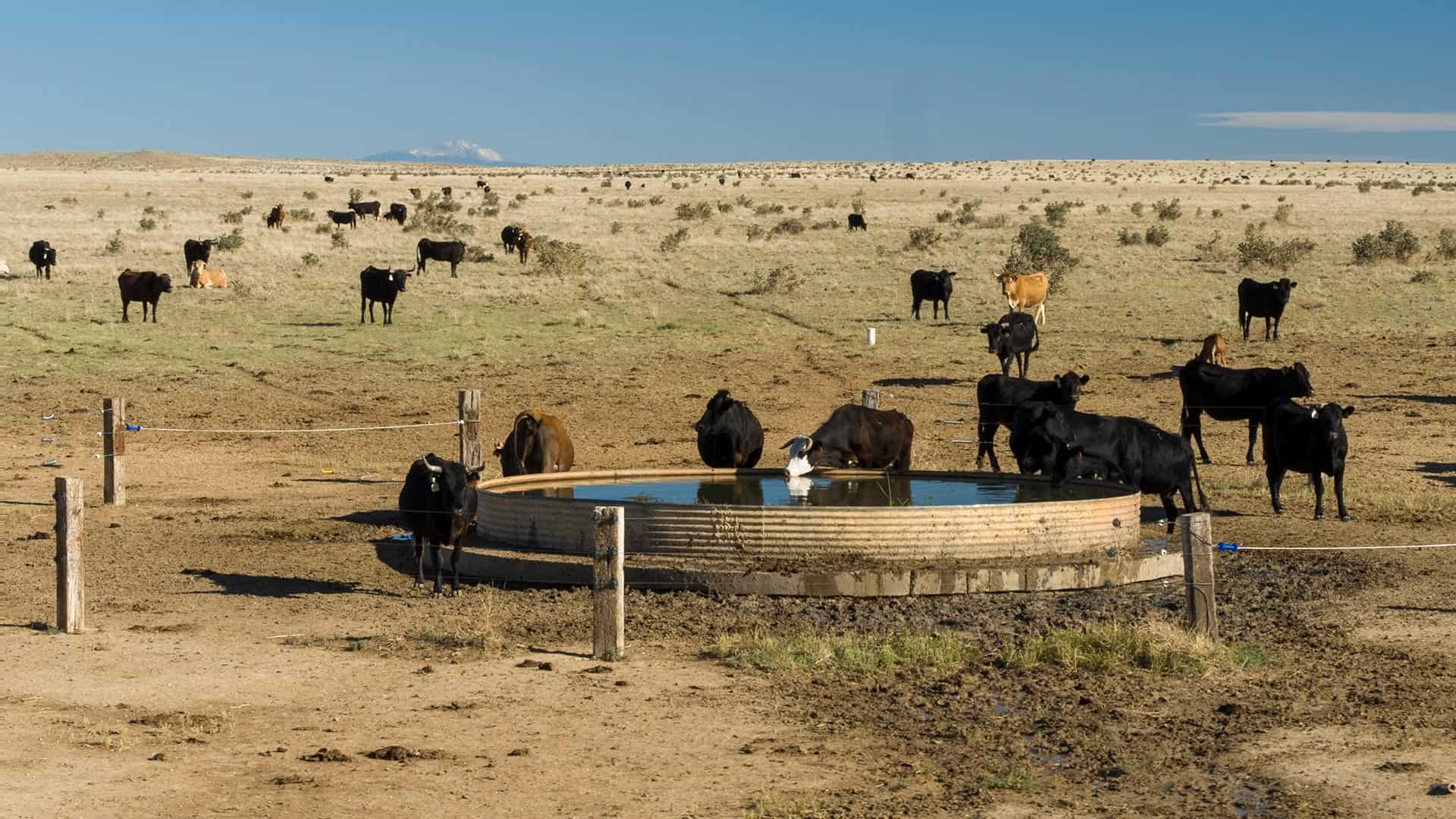 Mirr Ranch Group Photo