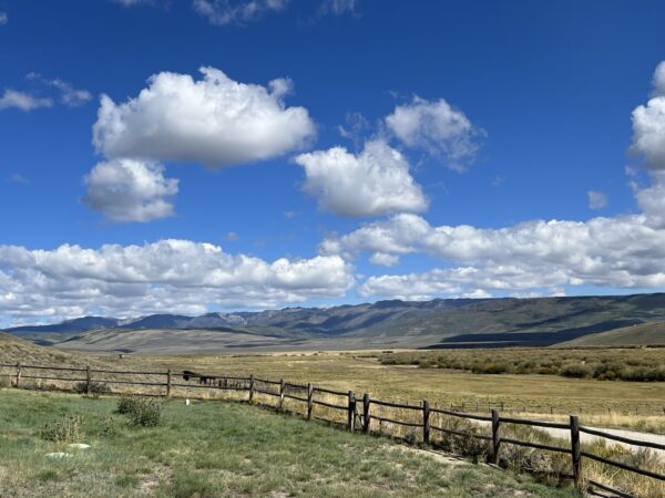 Bar Cross Ranch: Buyer Case Story