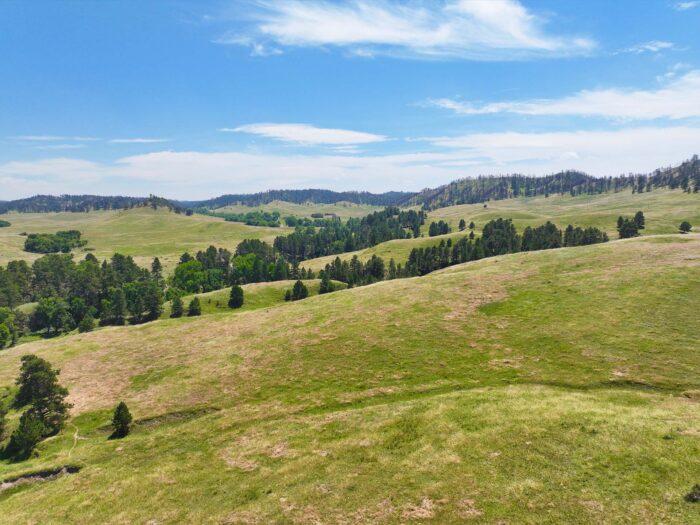 Belmont Ranch