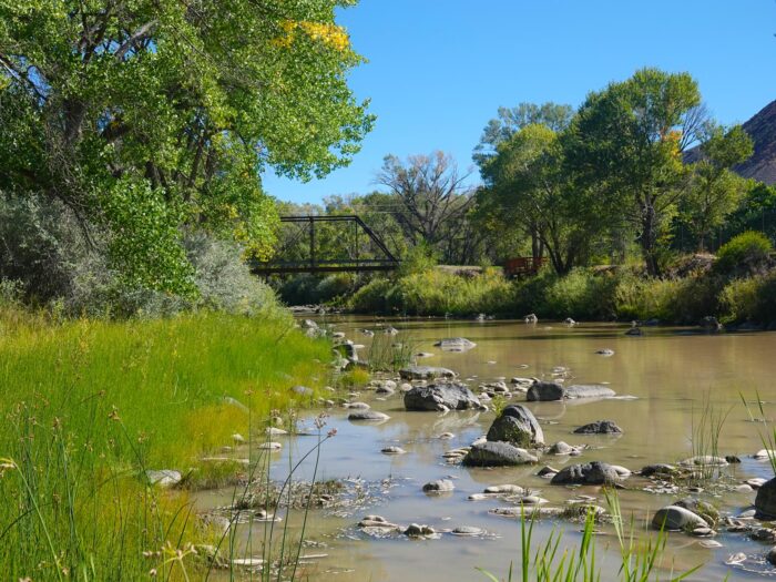 Black Bridge Preserve