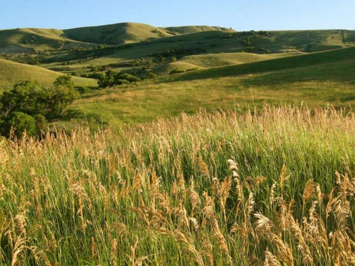 Brewer Ranch
