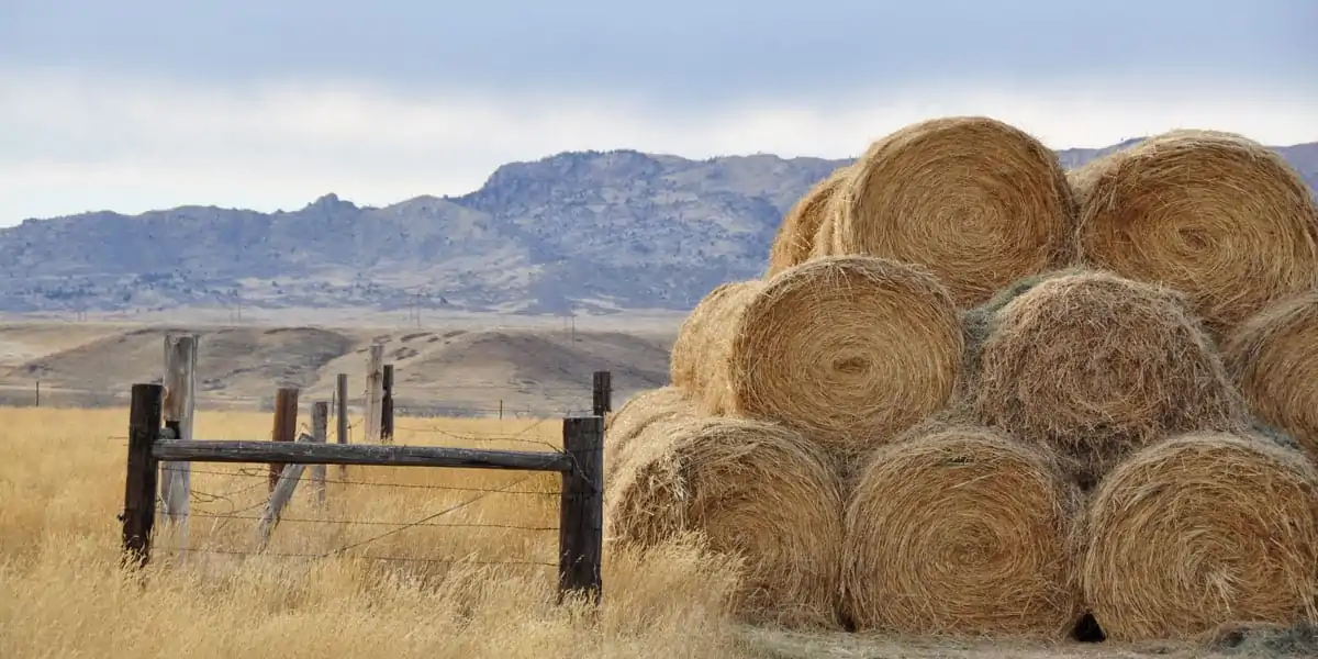 Brush Creek Ranch