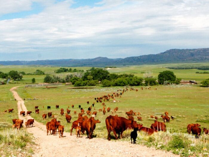 Brush Creek Ranch