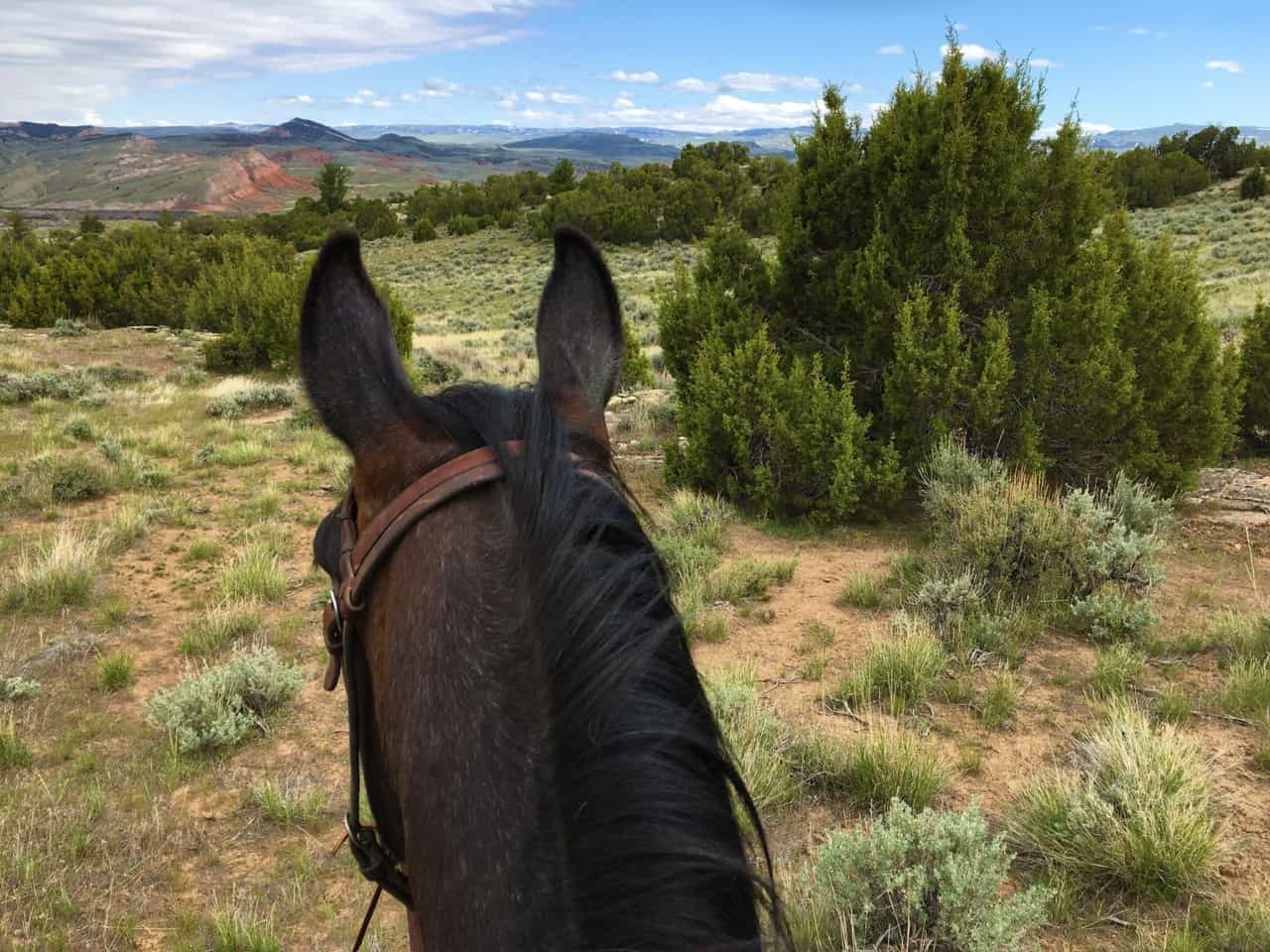 Bucking S Equestrian Property