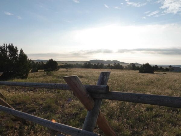Top 3 Things to Look for in a Gentleman’s Ranch