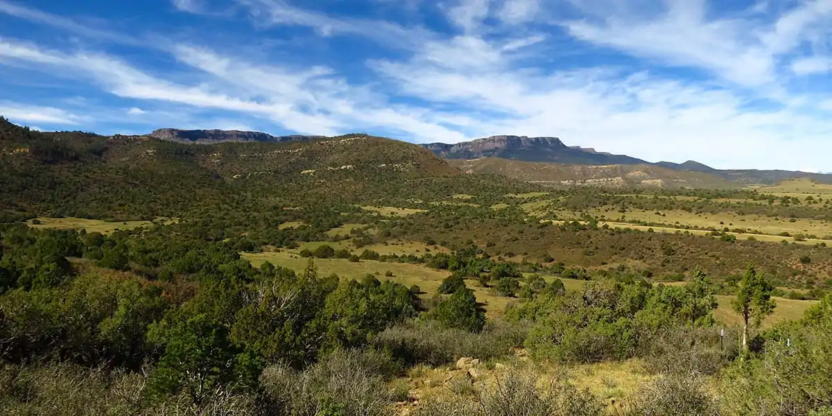Burro Mesa Ranch
