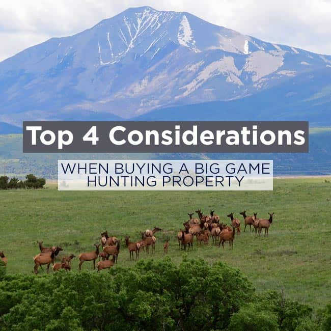 Buying-Big-Game-Hunting-Property