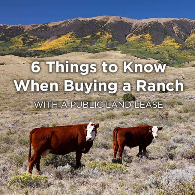 Buying-a-Ranch-with-a-Public-Land-Lease