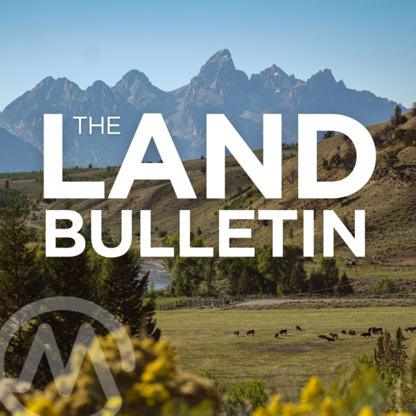Wyoming Markets: What’s Trending in 2026