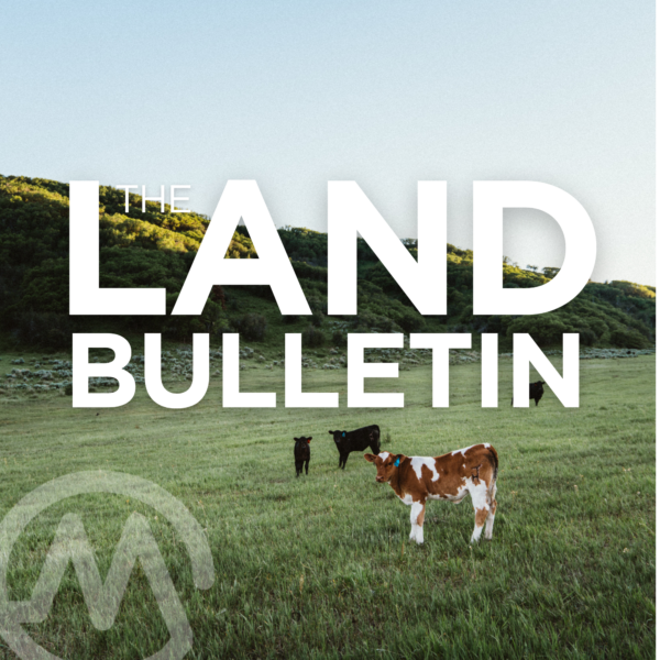 The Women Behind Beef Advocacy