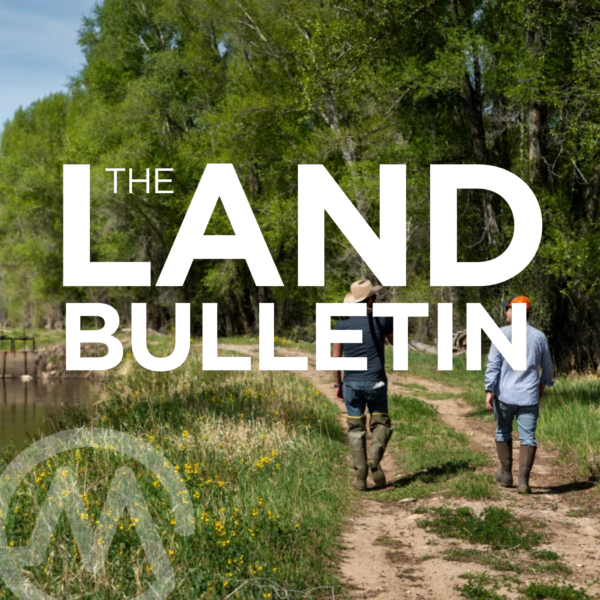 A Year in the Life at Reeder Creek Ranch