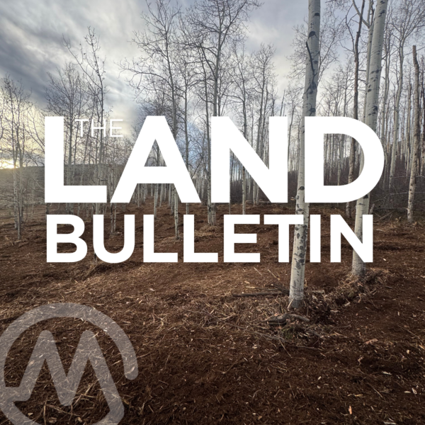 Wildfire Mitigation 101: Protecting Your Land with Outlaw Forestry
