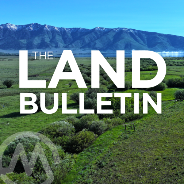 The Back 40: Exploring Island Park, ID