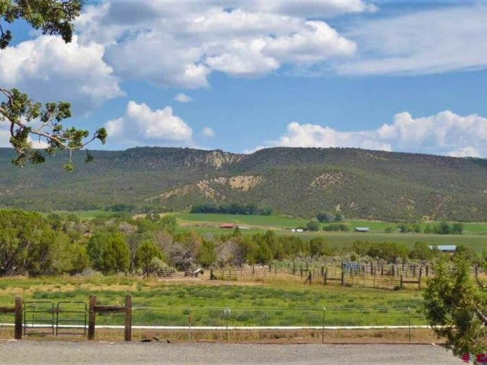 Cactus Jack Ranch
