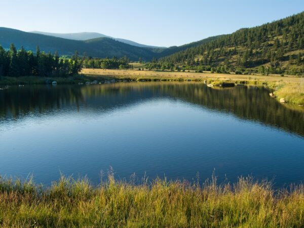 Caribou Ranch: Buyer Case Story