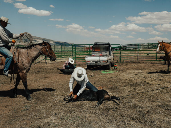 New Episode: Voices of the West: Balancing Ranching and Conservation at Lone Tree Ranch