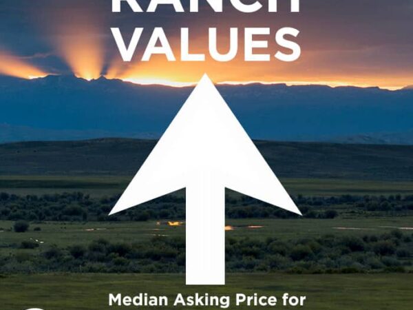 As Seen on CNN: 2019 Ranch Market Update
