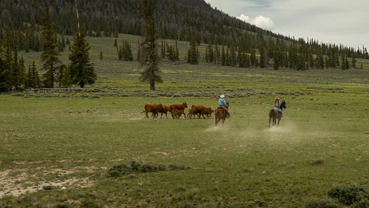 Cochetopa Dome Ranch