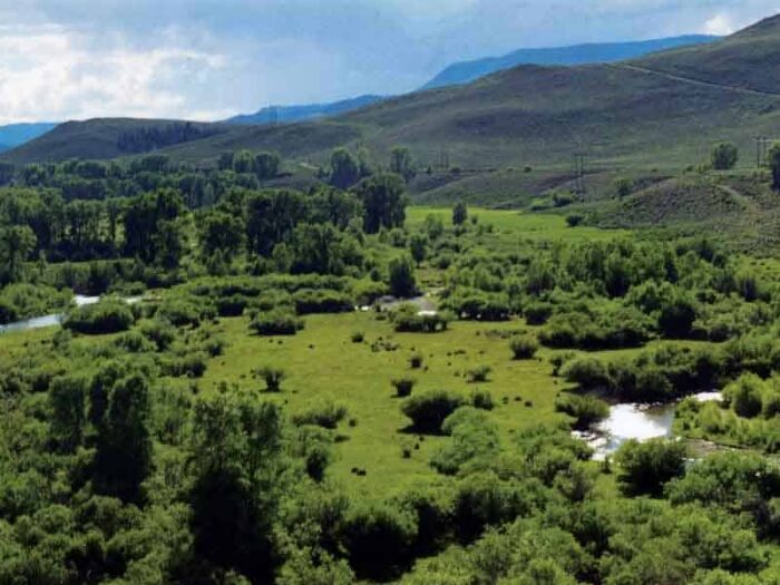 Confluence Ranch