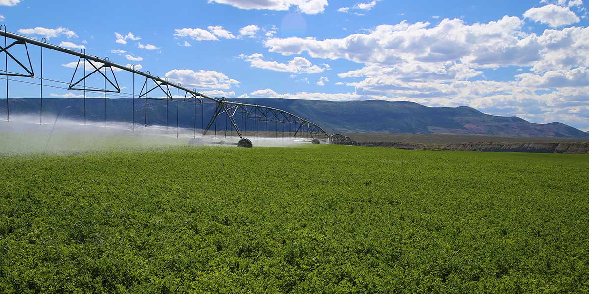 Buy a Ranch: Lower Ranch at Cross Mountain
